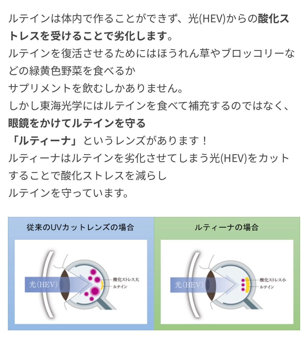 度付き1.60非球面レンズ(ルティーナNRC付き)