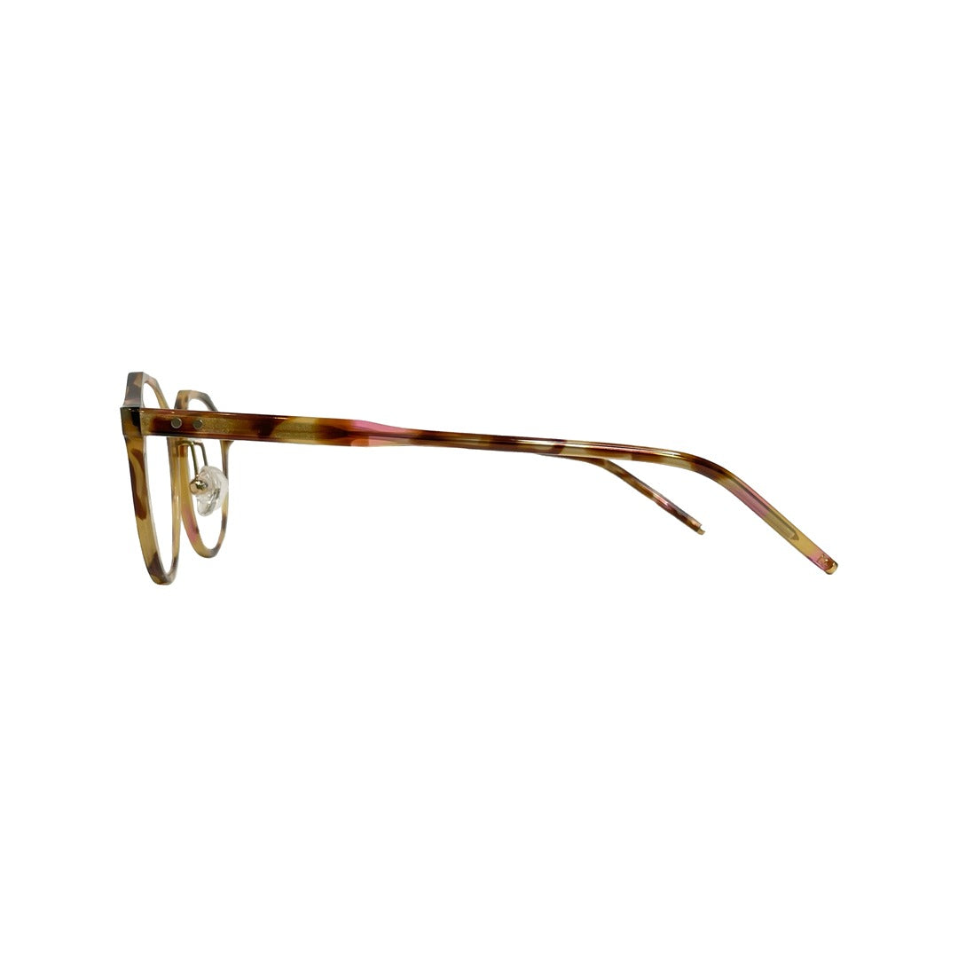sort/P-Tortoise