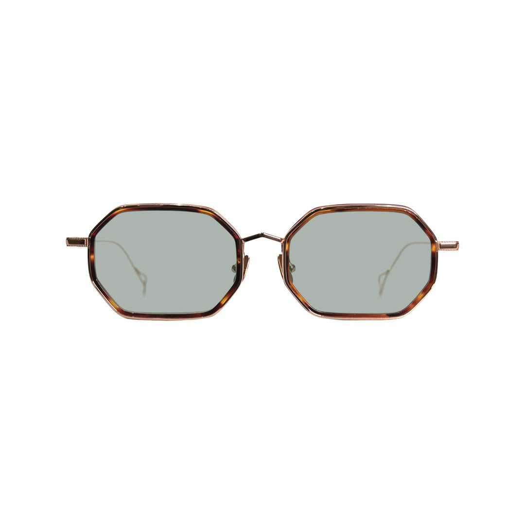 ward/Brown 50%カラーレンズ