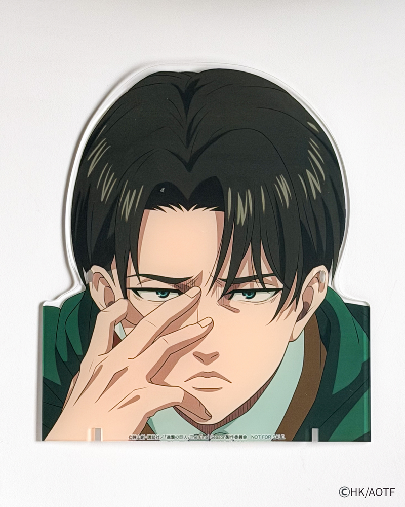 【リヴァイ・アッカーマン】モデル