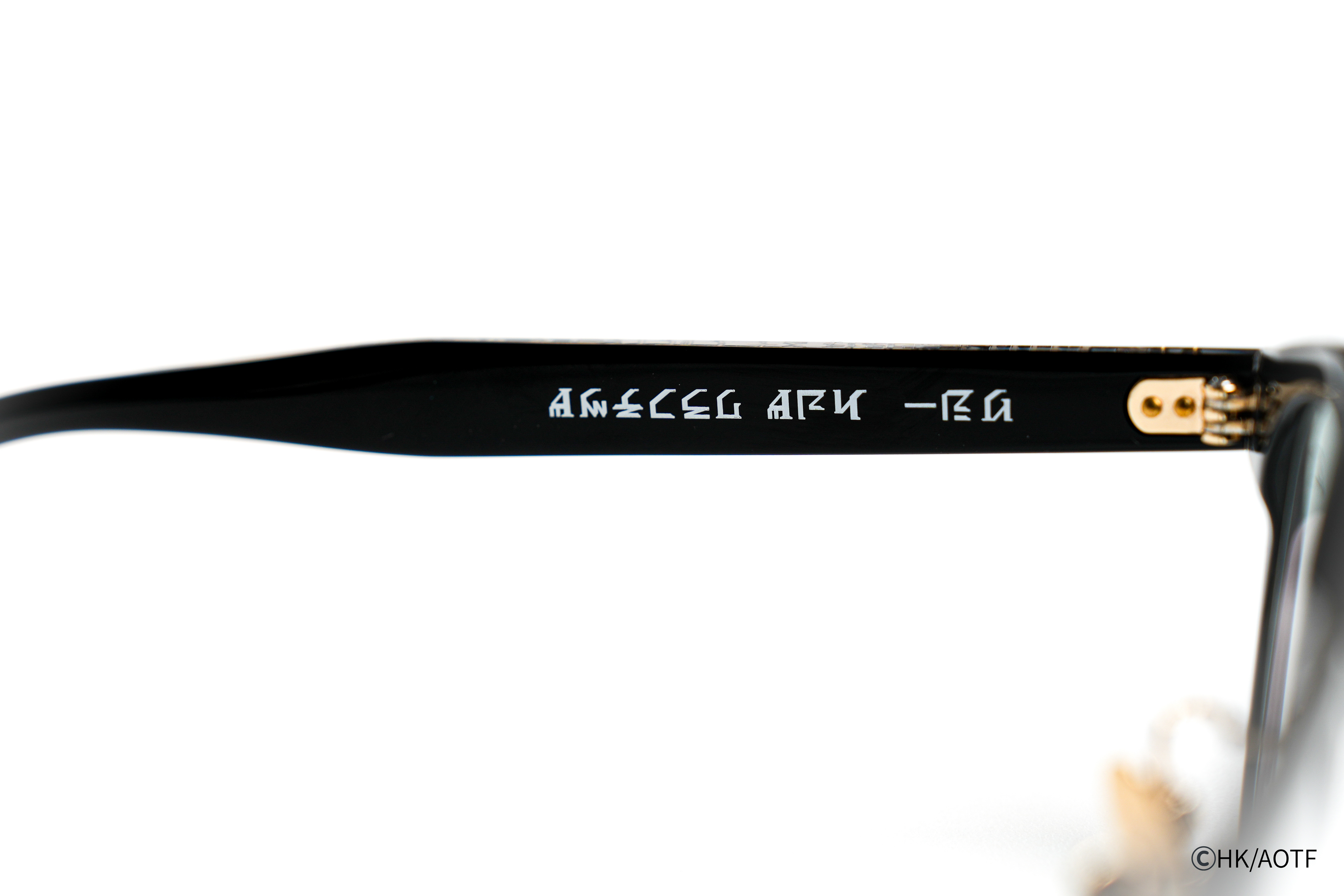 【エレン・イェーガー】モデル