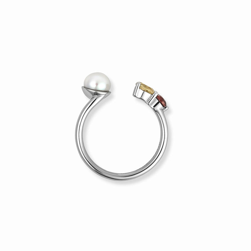 Karin Takubo × h..】カラーストーンメランジュリング silver – Re:See