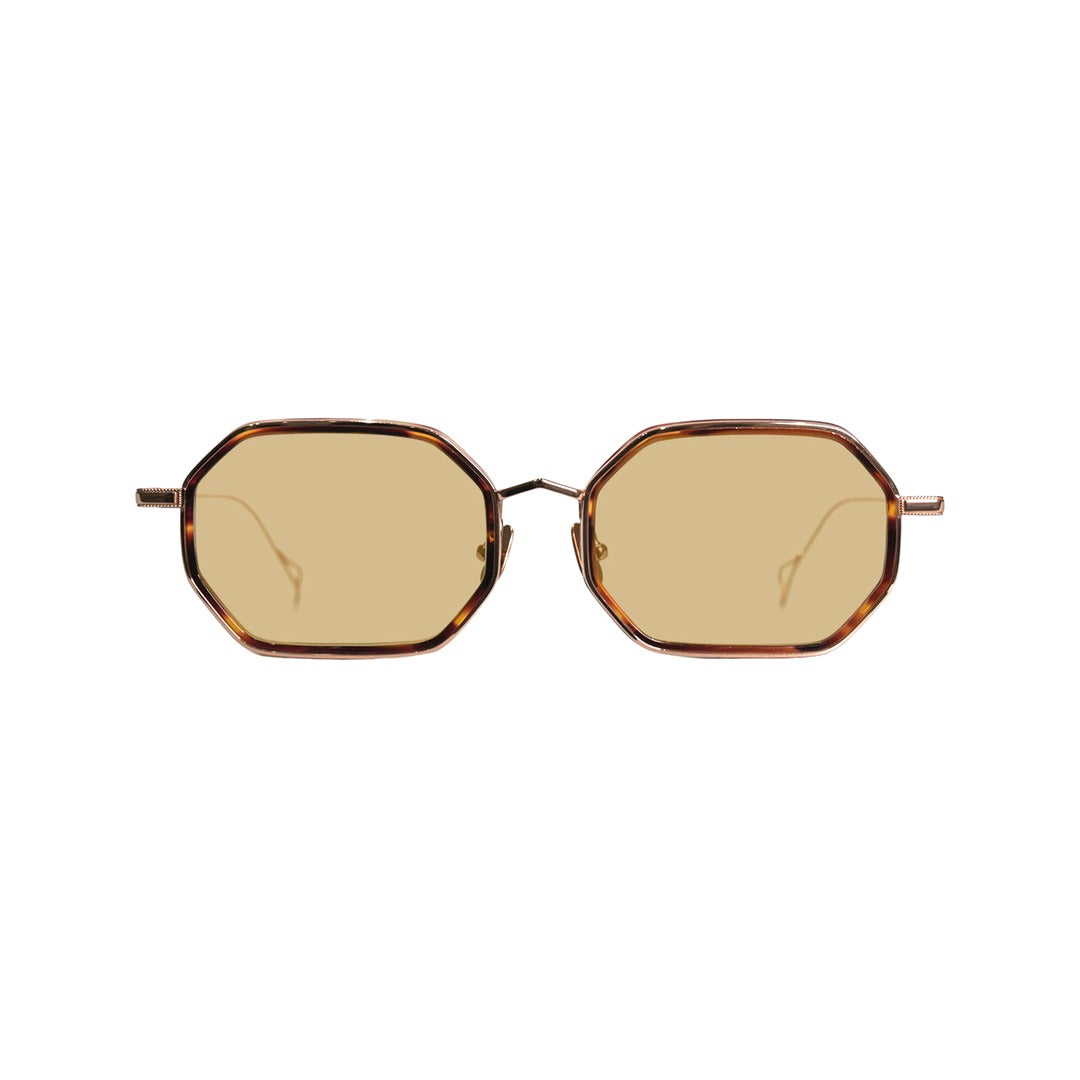 ward/Brown 50%カラーレンズ