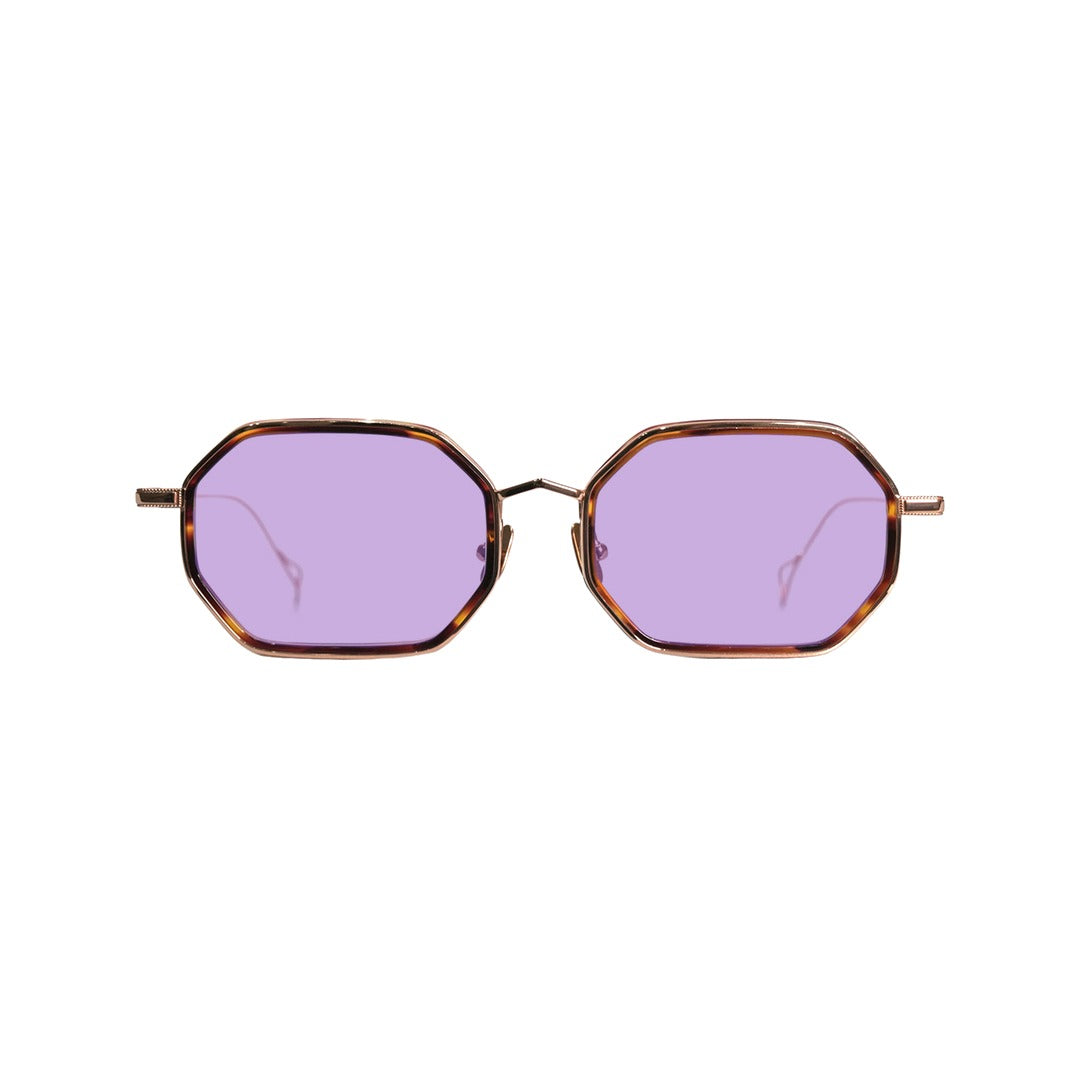ward/Brown 50%カラーレンズ